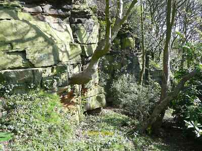 Photo 12x8 Disused quarry in the Mount of Remembrance grounds, Burnley Roa c2012