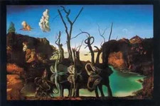 Dali - Swans Reflecting Elephants Poster - 36" x 24" Rolled -New. FREE shipping