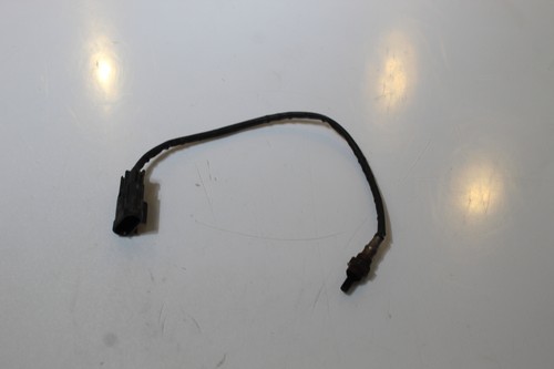 2018 Indian Scout Bobber Oxygen O2 Exhaust Gas Sensor 4016021