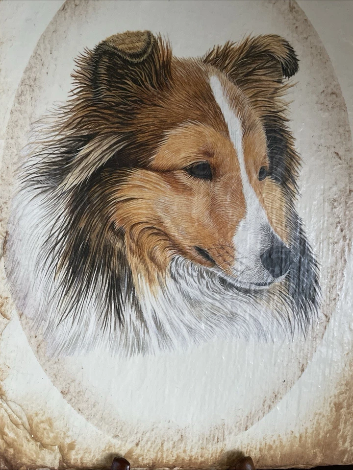 Letrero de bienvenida Shetland Sheep Dog Collie pizarra Sheltie excelente Foto 2 de 4