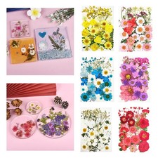 Echt Getrocknete Blumen Bl&auml;tter Kunst Handwerk Epoxy Harz Schmuck Seife