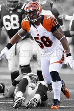 RV904 Rey Maualuga Cincinnati Bengals 8x10 11x14 16x20 Spotlight Photo