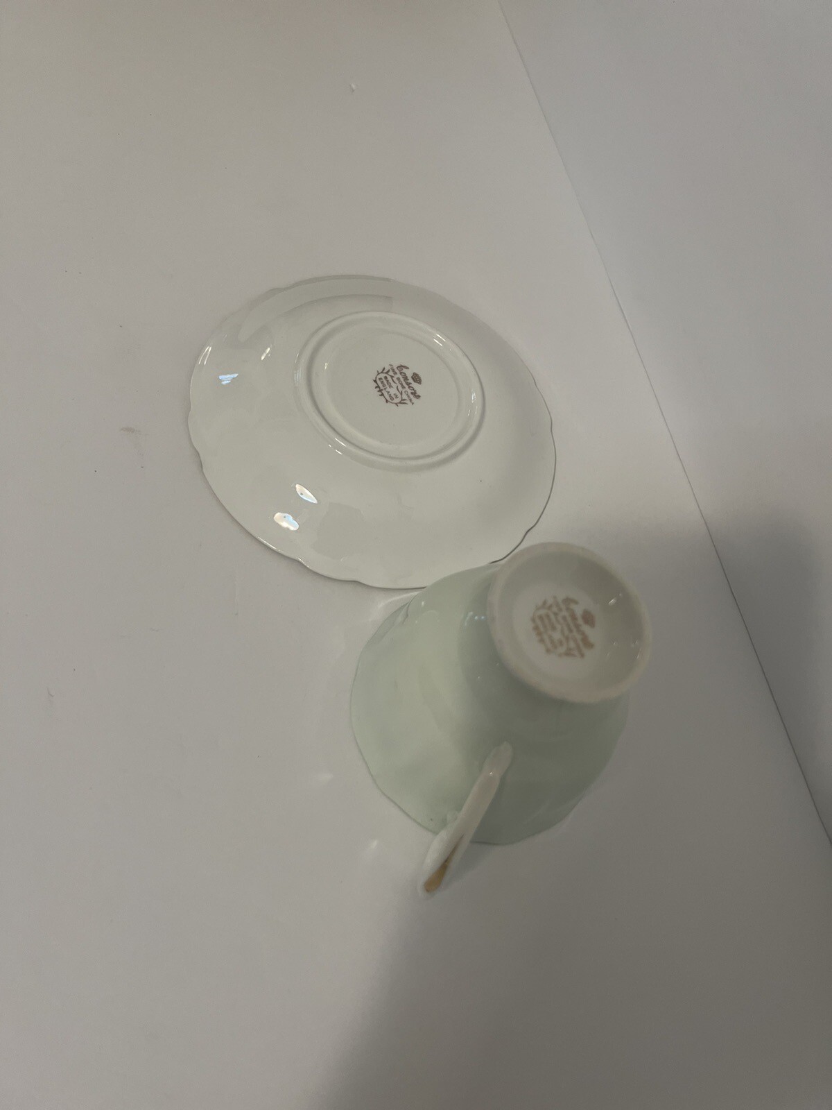 1950s Consort Lime Green White Rose  Tea Cup & Saucer, England Fine Bone China