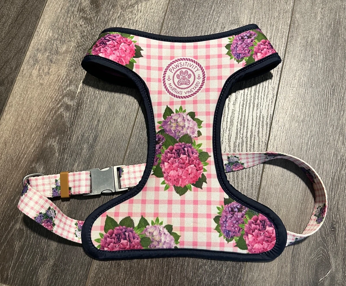 Pawsitivity dog harness top