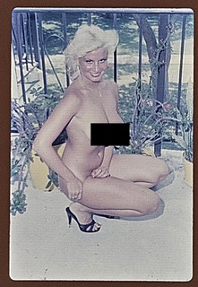 Bunny Yeager Estate Original Transparency Negative of Olivia w/ Copyright