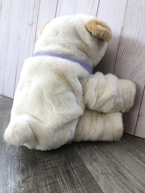 wrinkles my kissing puppy