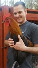 ●6 Fresh Ayam Cemani Hatching Egg-Rarest Chicken on the Planet Organic Pure