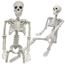 36" Skeleton Halloween Decorations, 3FT Realistic Full Body Movable Posable