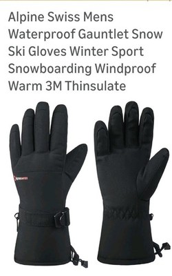 Alpine Swiss Mens Waterproof Ski Gloves Snowboarding 3M Thinsulate L Gloves Blk