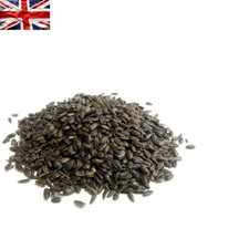 1kg  Black Sunflower Seed - Allergen-Free Wild Bird Food Nutrition 12.99 per kilo
