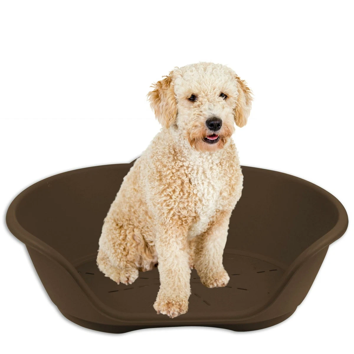 Plastic dog beds hot sale ebay