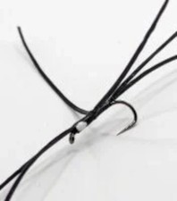 5 x  6 Leg Bloodworm,Apps ,Wicked white#10 barbless BL180