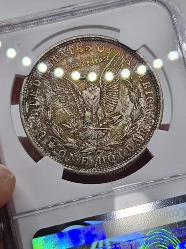 1921 Morgan Dollar-59 -NGC MS 63 Choice Gem BU ☆ Green Toned ☆