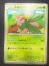 Tropius 012/078 XY6 | Emerald Break | Japanese Pokemon | NM