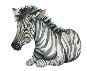 Zebra Self Adhesive Vinyl Sticker