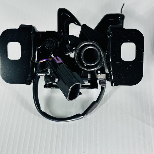 Chevrolet Equinox GMC Terrain Remote Start Hood Latch Kit 2012-12 GM 22924978 - Picture 17 of 24