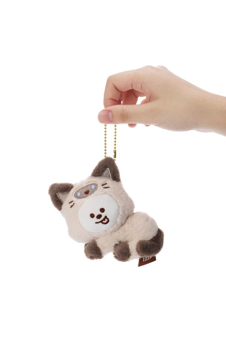 BTS V キーリング&BT21 ぬいぐるみ（CAT DAY&FRIENDS） BTS BT21 CAT DAY series Plush Toy Doll Mascot SHOOKY Line