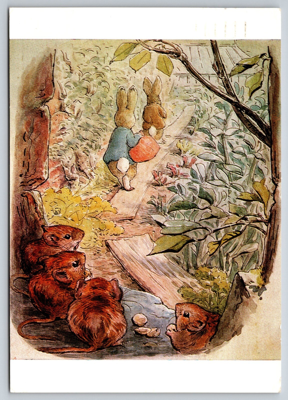 Postcard Art Drawing Peter Rabbit Feeds Mice c1981 Beatrix Potter 14F ...