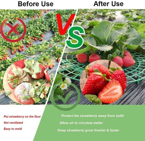 5PCS Adjustable Strawberry Supports Racks for Growing Elevated Fruits Garden - Picture 5 of 7