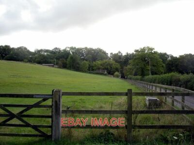 PHOTO  FIELD NORTH OF STEVENTON THIS FIELD LIES BETWEEN ASHE PARK COPSE (BEHIND