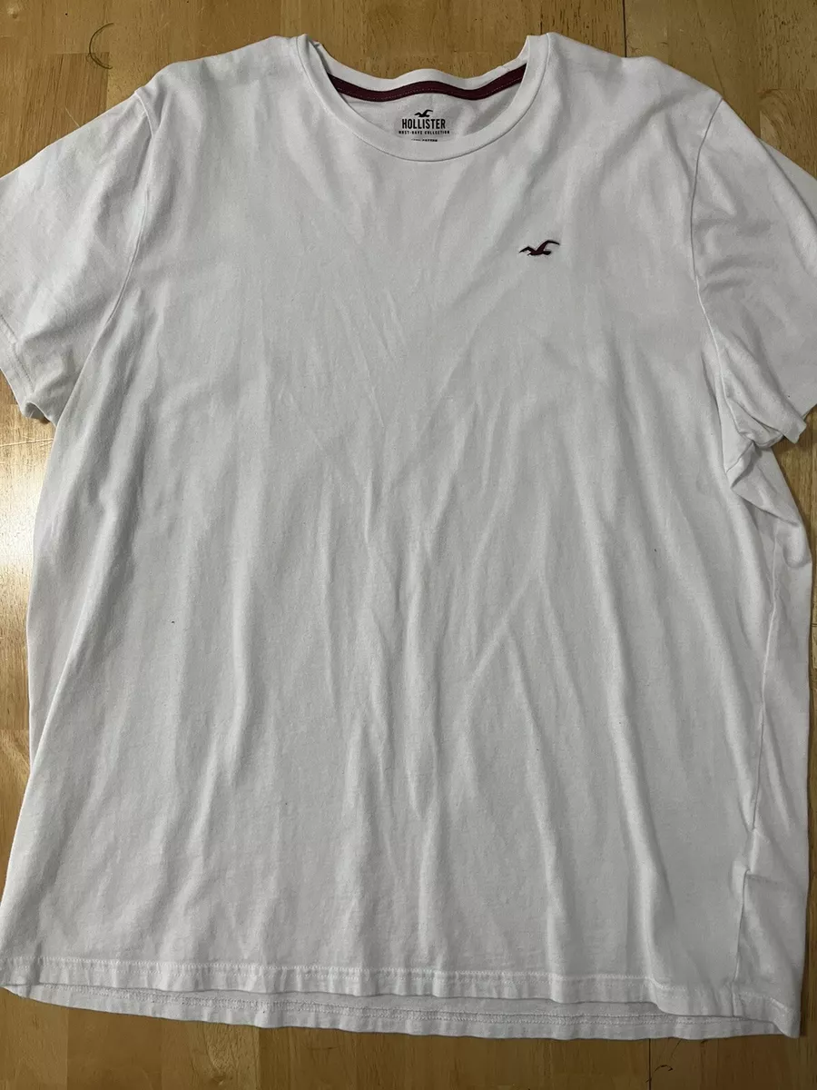 Hollister plain shirts sale