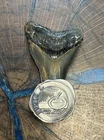 Haleybug Mint 1/2 oz .999 Fugio Silver Art Bar Piece