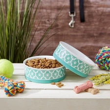 Bone Dry Lattice Collection Pet Bowl and Canister, Medium Set, 6x2", Aqua, 2 