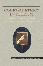 Codes of Ethics in Tourism : Practice, Theory, Synthesis Paperbac