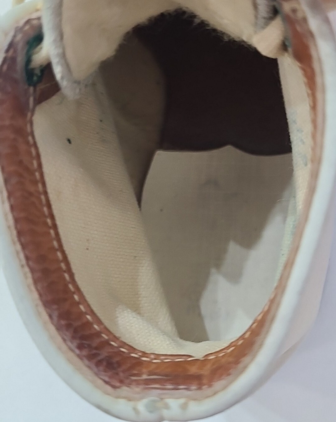 Foto 14 di 24