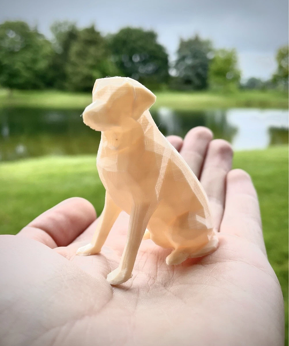 Miniature hotsell yellow lab