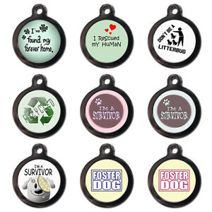 cute dog tags
