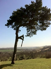 Photo 6x4 The lonesome pine Cockleford Looking down the churn valley towa c2012