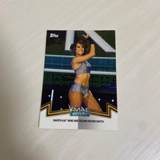 Dakota Kai WWE Women's Division Card NXT-23 Wrestling Collectible New