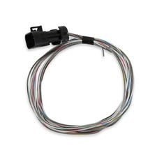 Holley Control Module Wiring Harness 558-462;