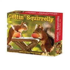 Gettin' Squirrelly 2026 5.4 X 6.2 Box Calendar (Bookbook - Detail Unspecified)