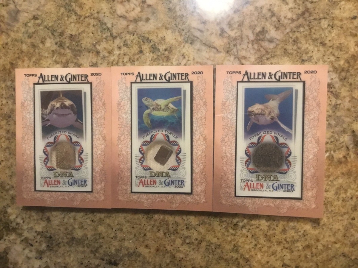 allen & ginter dna relic 化石 allosaurus HADROSAUR 2020 Topps Allen & Ginter DNA Dinosaur Bone Relic