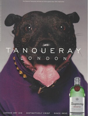 1999 Tanqueray London Gin Funny Dog vintage Print Ad Advertisement