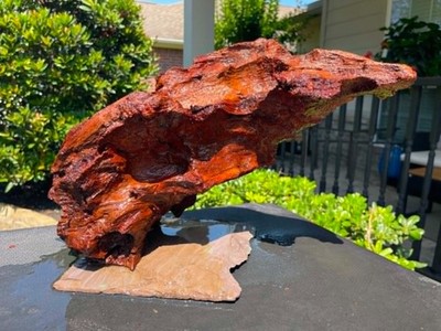 DRIFTWOOD MALAYSIAN AQUARIUMS FISH REPTILES DECORATION PET SUPPLIES ART GARDEN