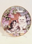 Foto 2 di 5