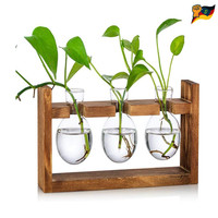 Vintage Glas Vasen Tischdeko ReagenzgläSer BlumenstäNder Holz Propagation