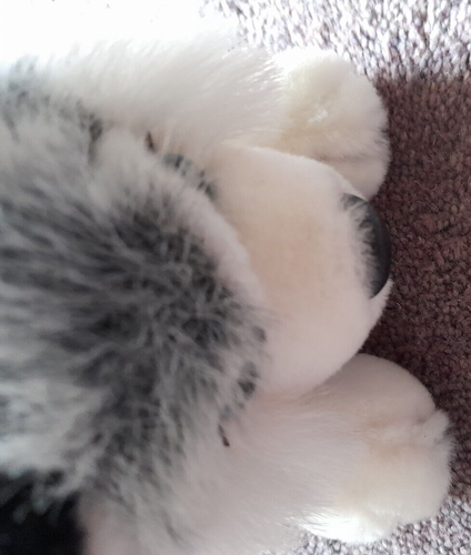 Husky Dog Soft Toy - Picture 3 of 4