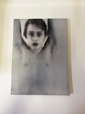 Harmony Korine The Bad Son Film DVD Special Edition Japan