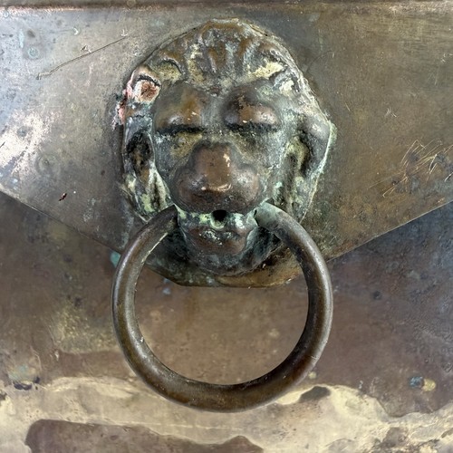 VTG Brass Lion Head Mailbox Wall Mount Ornate Iris Apfel Style Old Money FLAW