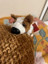 The Dog Artlist CO, Pillow Japan, Welsh corgi, RARE!