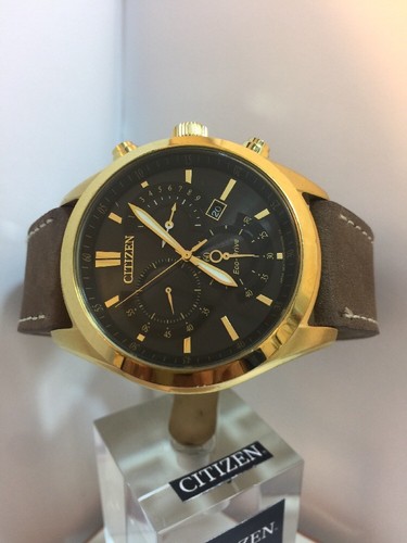 citizen mens eco drive chronograph gold plated strap watch h500