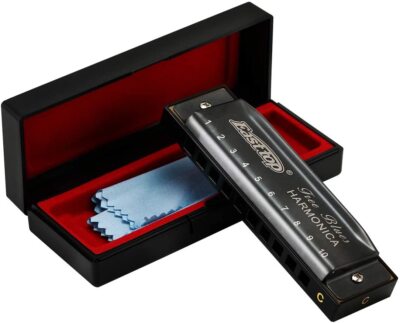 EASTTOP Mundharmonika C Diatonische Mundharmonika Blau 10Hole Diatonic Harmonica