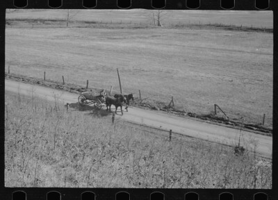 8'' x 10'' Photo Abandoned farmland,Brown County,Indiana