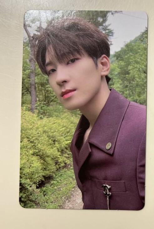 K-POP・アジア SEVENTEEN Social Club : CARAT SEVENTEEN SOCIAL CLUB CARAT PHOTOBOOK OFFICIAL PHOTO CARD | eBay