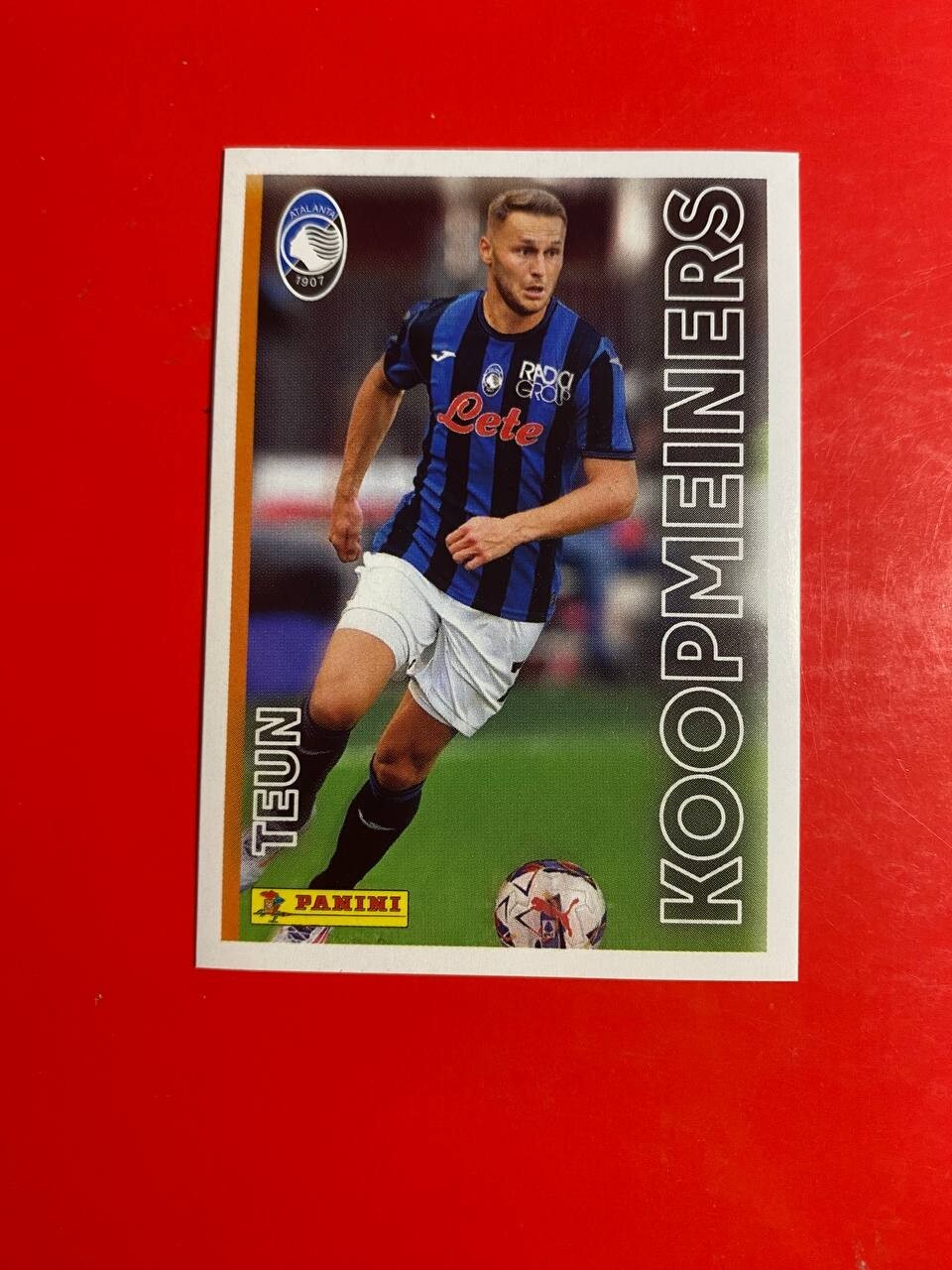 Bild 11 von 251