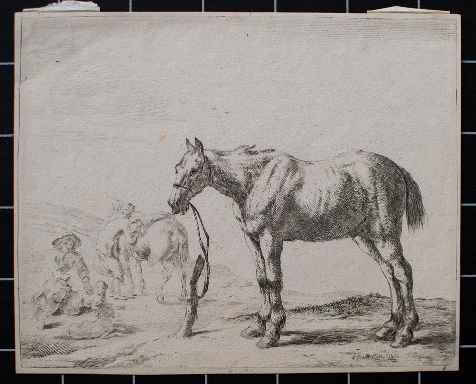 Dirk Stoop Pferde Tierstudie Goldenes Zeitalter Barock Orig Kupferstich 17 Jhd - Bild 2 von 4